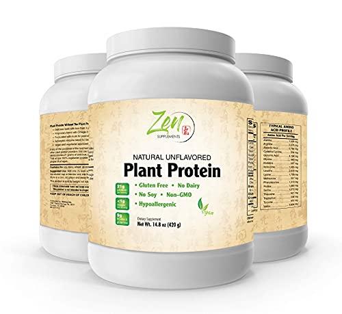 Plant Protein - Vegan/Natural Unflavored 14.8 Oz-Powder - 24.5 Grams of Protein Per Serving -Vegan, Low Net Carbs, Non Dairy, Gluten Free, Lactose Free, No Sugar Added, Soy Free, Kosher, Non-GMO