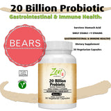 20 Billion CFU 9 Strain, Multi-Probiotic 30-Vegcaps - Sustained Release Technology, Resist Stomach Acid & Shelf Stable