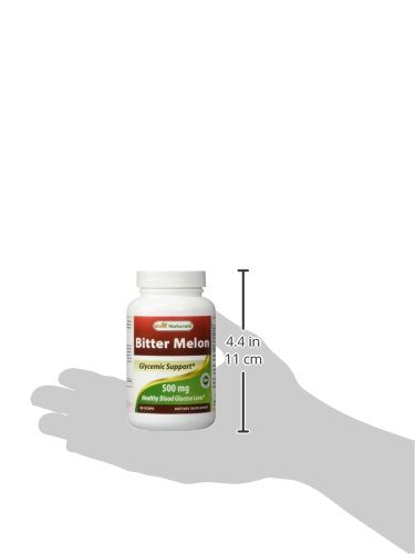 Best Naturals Bitter Melon 500 mg 90 Veggie Capsules