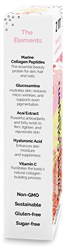 Zint Sweet Marine Collagen Powder Beauty Drink Mix Sampler (Assorted): Sugar-Free Collagen Peptides Drink w/Glucosamine, Hyaluronic Acid, Vitamin C, Acai Extract (3 5g Packets)