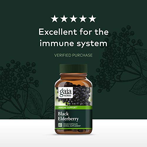 Gaia Herbs, Black Elderberry, Organic Sambucus Elderberry Extract for Daily Immune and Antioxidant Support, Vegan Powder Capsules, 60 Count