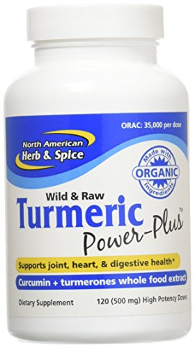 North American Herb & Spice Turmeric Power-Plus Gels, 120 Count