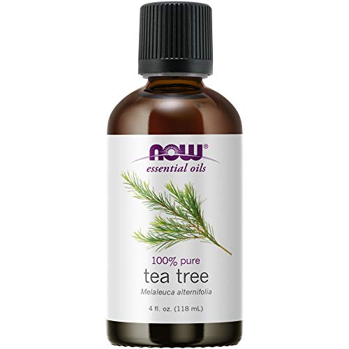 Tea Tree Oil Now Foods 4 oz EssOil