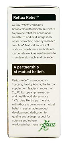 Gaia Herbs, Reflux Relief Chewy Tablets, 15 Count