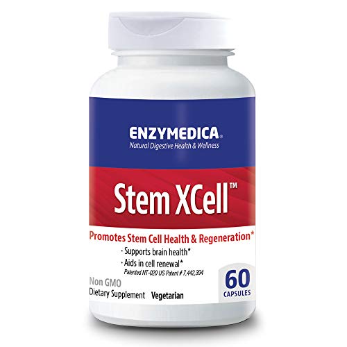 Enzymedica, Stem XCell, Enzyme and Antioxidant Support for Brain and Cellular Health, 60 Capsules