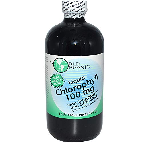 World Organics Liquid Chlorophyll Liquid with Spearmint, 16 Fluid Ounce