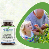 Echinacea Goldenseal Complex - 90 Veggie Caps