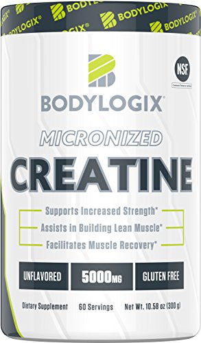 Bodylogix Micronized Creatine Monohydrate Powder, NSF Certified, Unflavored, 300g