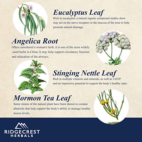 Ridgecrest Herbals SinusClear, Complete Sinus Support, 60 Vegetarian Capsules