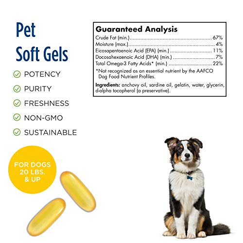 Nordic Naturals Omega-3 Pet, Unflavored - 330 mg Omega-3 Per Soft Gel - 180 Soft Gels - Fish Oil for Dogs with EPA & DHA - Promotes Heart, Skin, Coat, Joint, & Immune Health - Non-GMO