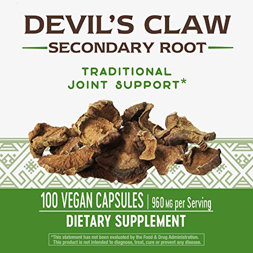 Nature's Way Devil’s Claw Secondary Root 480 mg, 100 Vcaps (Packaging May Vary)