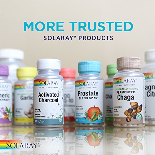 Solaray Milk Thistle Seed Extract One Daily 350mg | Antioxidant Intended to Help Support a Normal, Healthy Liver | Non-GMO & Vegan | 60 VegCaps