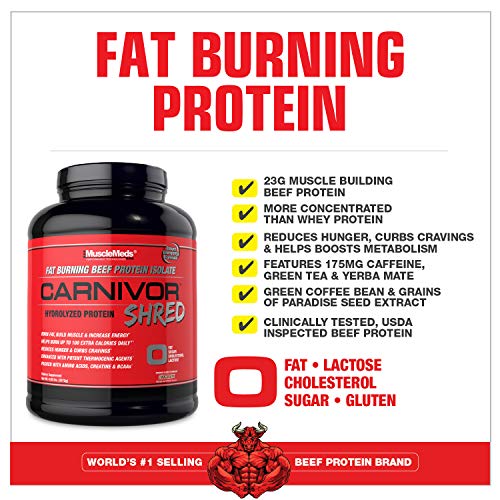 MuscleMeds Carnivor Shred Fat Burning Hydrolized Beef Protein Isolate, 0 Lactose, 0 Sugar, 0 Fat, Chocolate, 4.56 Pound