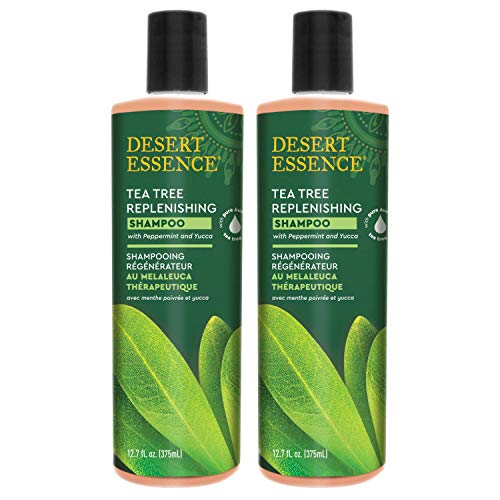 Desert Essence Tea Tree Replenishing Shampoo - 12.7 Fl Oz - Pack of 2 - Therapeutic - Peppermint & Yucca - Antibacterial - Restore & Nurture Hair - Reduce Flaking - All Skin Types