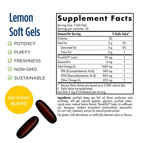 Nordic Naturals Omega Vision, Lemon - 60 Soft Gels - 1460 mg Omega-3 + FloraGLO Lutein & Zeaxanthin - Long-Term Eye Health, Brain Health, Antioxidant Support - Non-GMO - 30 Servings