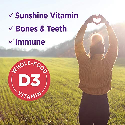 New Chapter Vitamin D3, Fermented Vitamin D3 2,000 IU, ONE Daily with Whole-Food Herbs + Adaptogenic Reishi Mushroom for Immune Support + Bone Health + Heart Health, 100% Vegan, Gluten-Free - 60 count