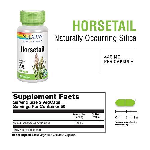 Solaray Horsetail 440 mg | Silica Supplement for Healthy Hair, Skin, Nails & Joint Support | 50 Servings | 100 VegCaps