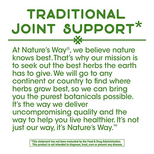 Nature's Way Devil’s Claw Secondary Root 480 mg, 100 Vcaps (Packaging May Vary)
