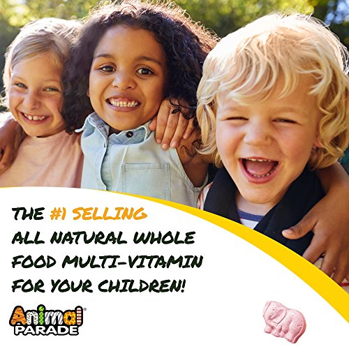 NaturesPlus Animal Parade Source of Life Children's Chewable Multivitamin - 180 Animal Shaped Tablets - Natural Assorted Flavors - Vegetarian, Gluten-Free - 90 Total Servings