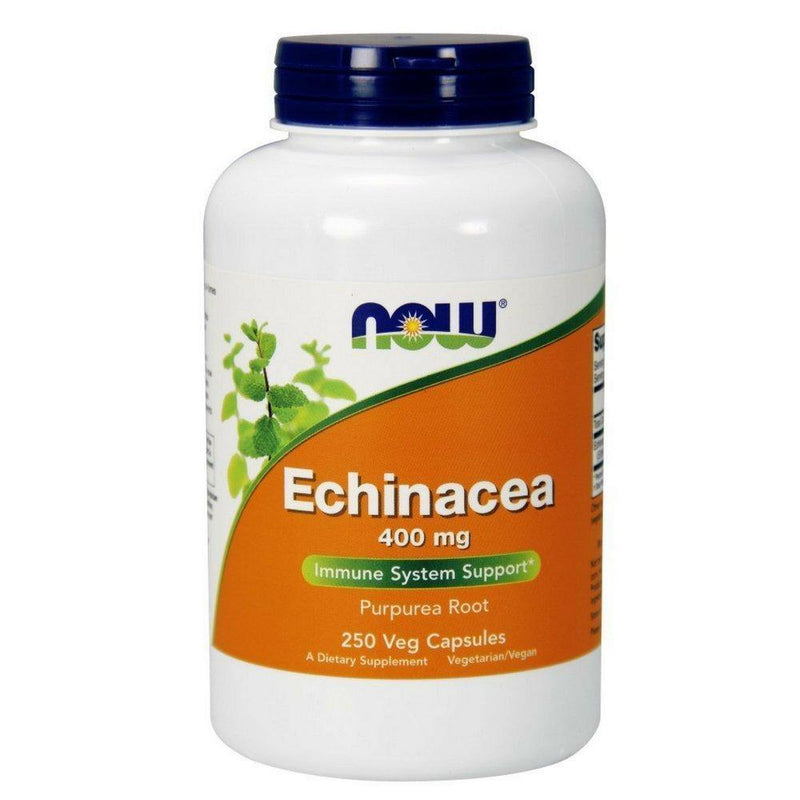 NOW Echinacea Root 400mg, 250 Veg Capsules - Vitamins Emporium
