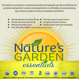 Echinancea-Goldenseal  - 60 Liquid Veggie Caps